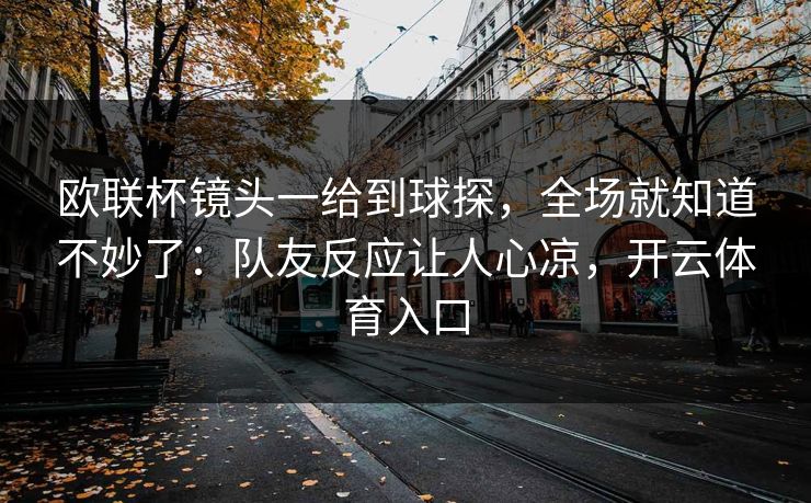 欧联杯镜头一给到球探，全场就知道不妙了：队友反应让人心凉，开云体育入口