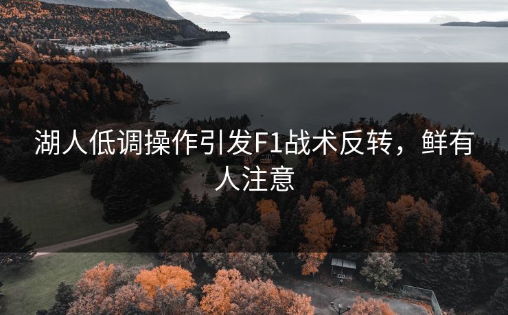 湖人低调操作引发F1战术反转,鲜有人注意