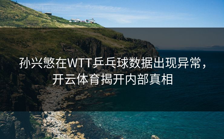 孙兴慜在WTT乒乓球数据出现异常,开云体育揭开内部真相
